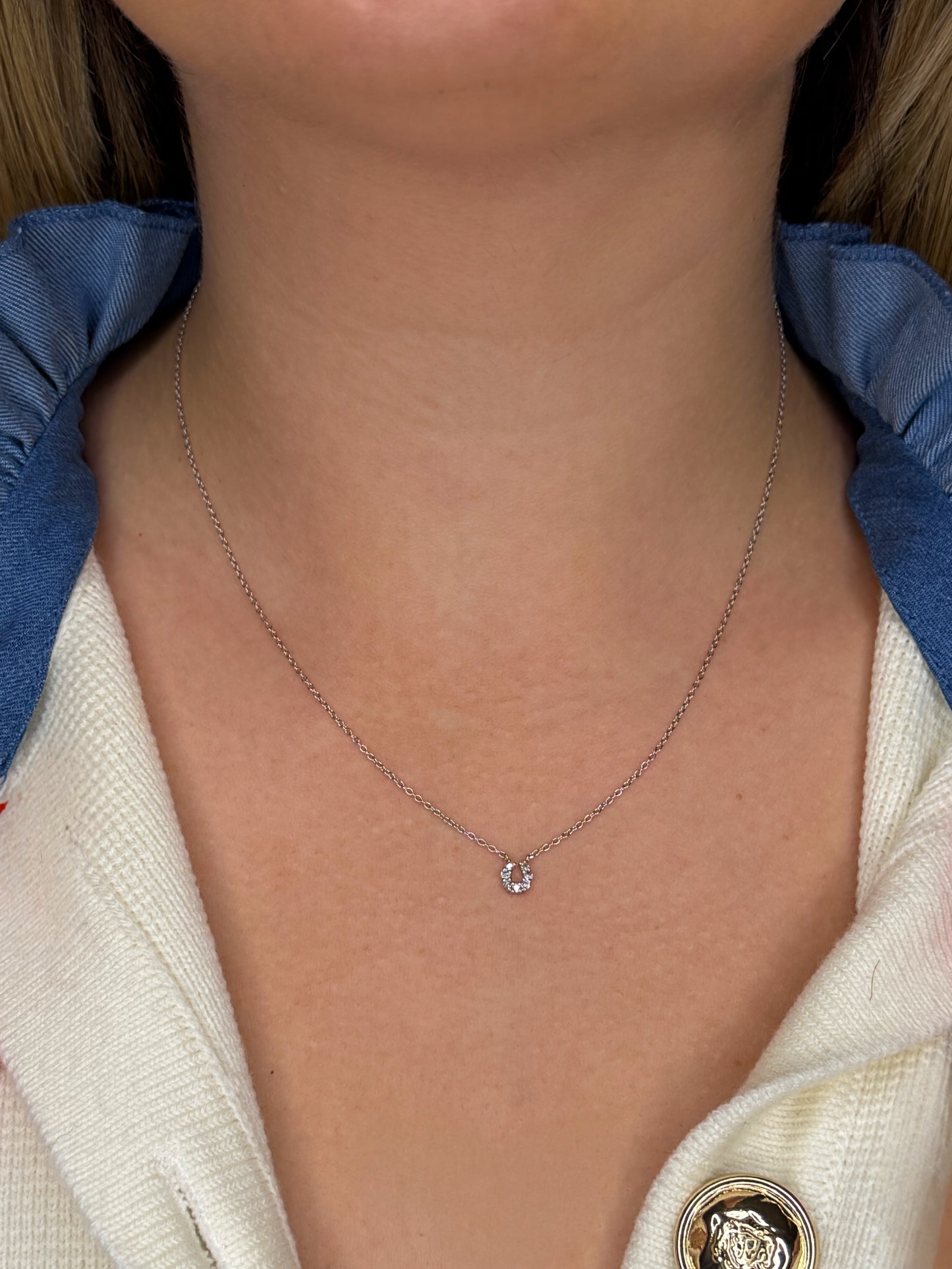 Sterling Silver 0.14 Cttw Canadian Diamond Horseshoe Necklace - 16"-18" (I Colour, I1-I2 Clarity)