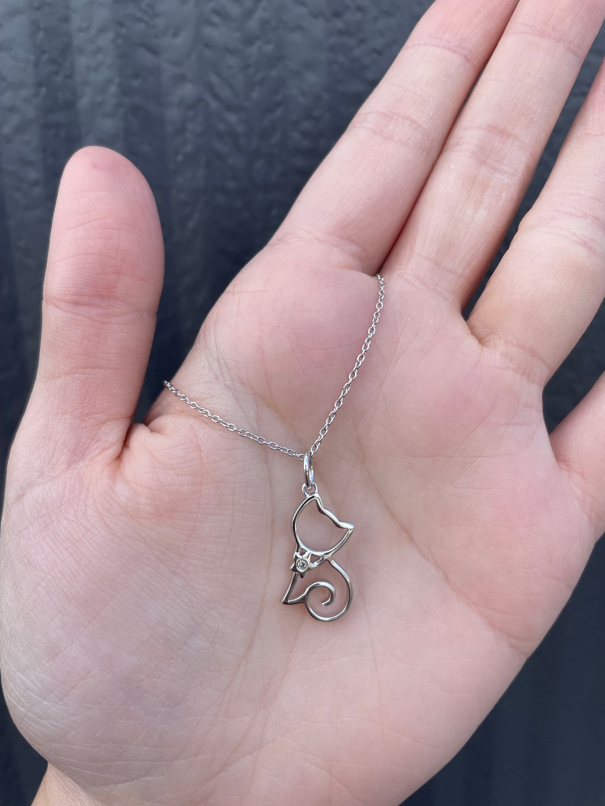 Hand held view of a sterling silver cat-silhouette pendant, featuring a genuine Canadian diamond accent and a delicate rolo chain.