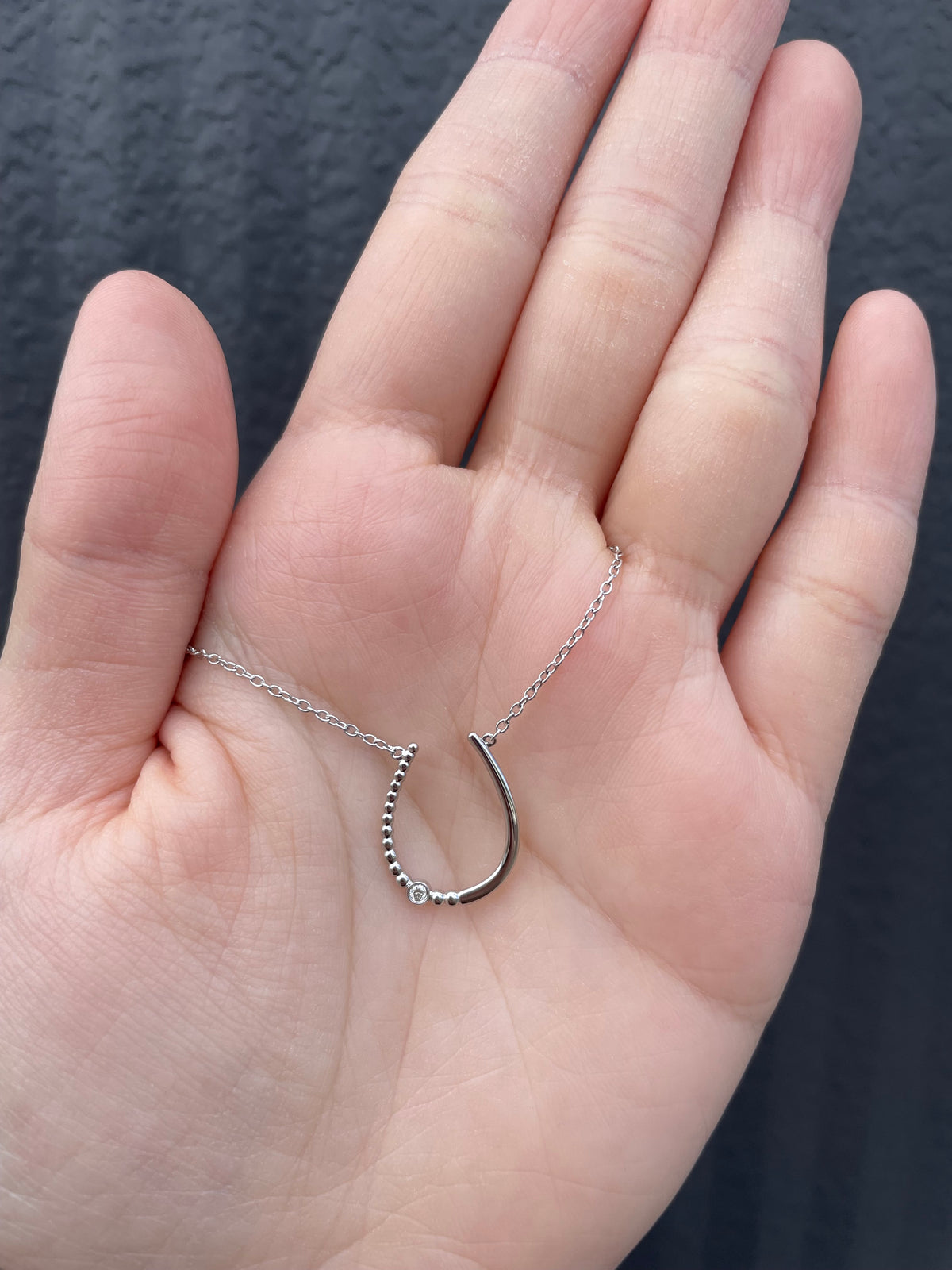 Hand held view close-up of a sterling silver horseshoe-shaped pendant, featuring a delicate Canadian diamond accent and a fine cable chain against a textured grey background.