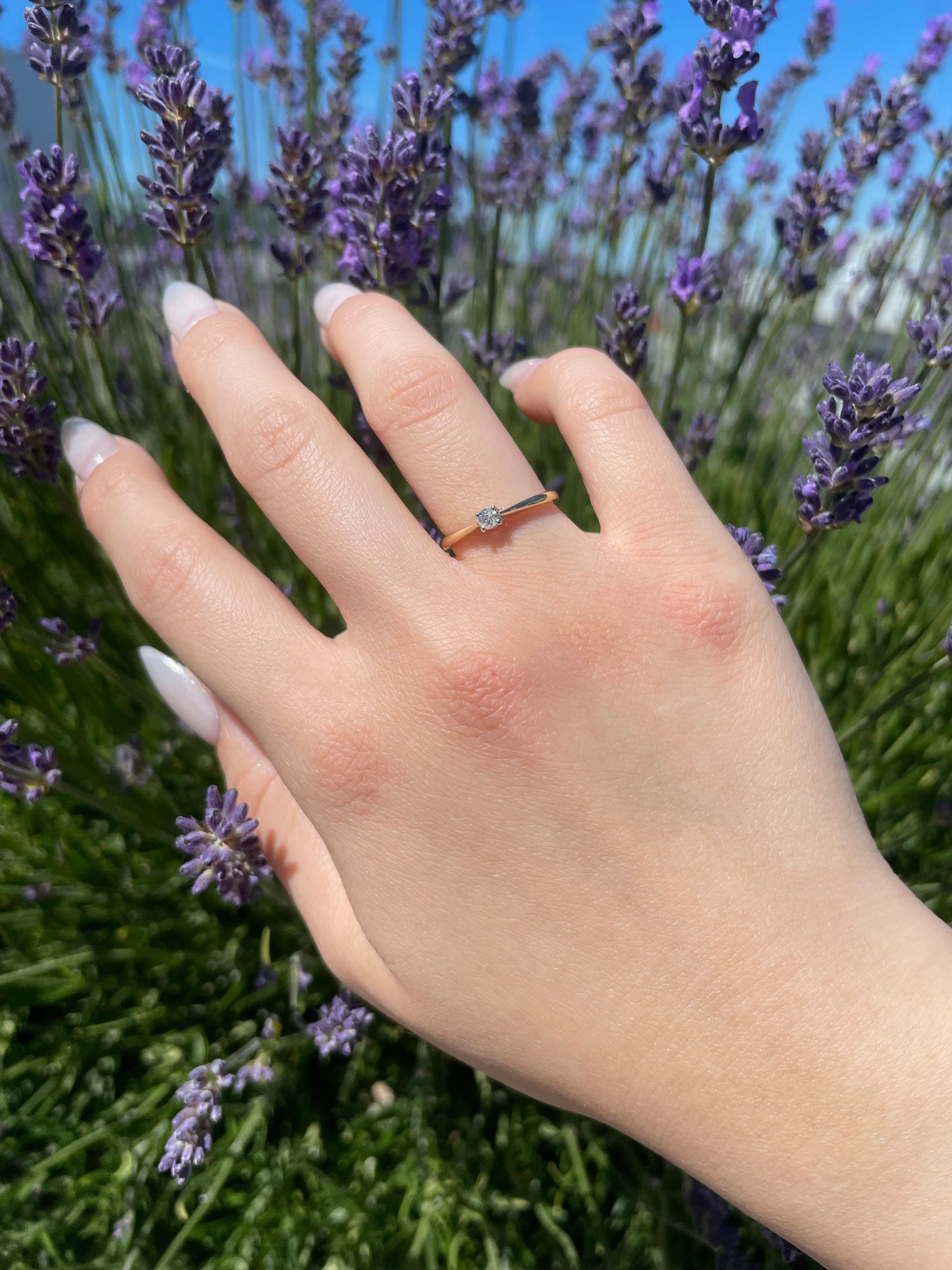 A close-up lifestyle shot of a model's hand wearing a minimalist 10K yellow gold solitaire ring set with a single round brilliant Canadian diamond, displayed outdoors against a backdrop of tall purple lavender.