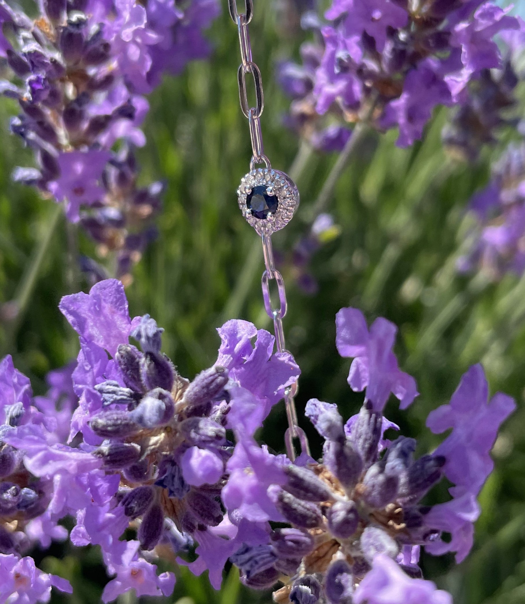 A close-up outdoor lifestyle shot of a delicate sterling silver paperclip chain bracelet hanging vertically amidst a cluster of blooming purple lavender flowers. The central focal station features a rich round deep blue sapphire gemstone enclosed by a shimmering halo of small white Canadian diamonds, highlighted beautifully by bright, natural sunlight.